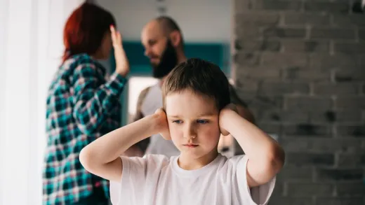 Introduction to Domestic Violence (Fully Accredited)