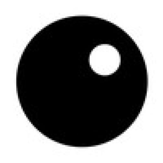 Profile photo of Vision Paradox