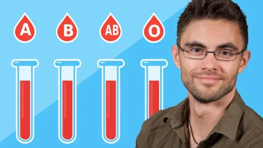 Nutrition & Mealplanning According To The Blood Type Diet ✅