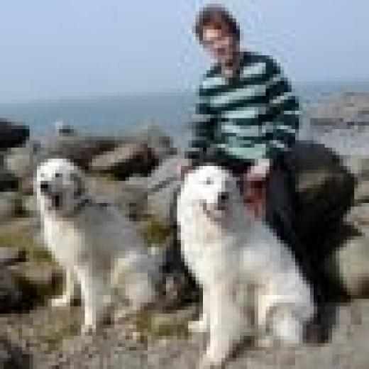 Profile photo of Huw Collingbourne