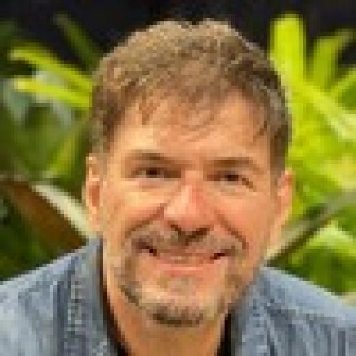 Profile photo of Paulo Andrade, Ph.D. • +450.000 Alunos