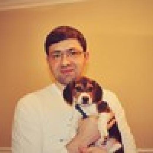 Profile photo of Sergey Kargopolov
