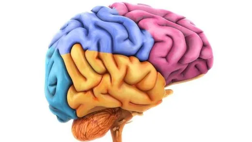 Técnicas para mejorar el aprendizaje. (Súper Cerebros)