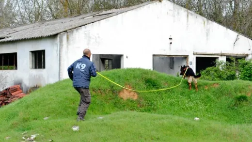 Mantrailing/Koku Takibi Köpeği Eğitimine Giriş