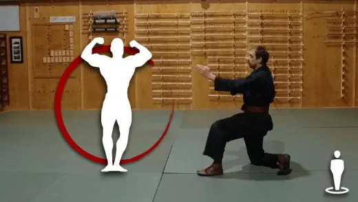 Martial Arts - Taijutsu - Beginner Foundation
