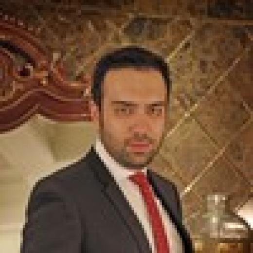 Profile photo of Amir Javad Sharifian Torghabeh