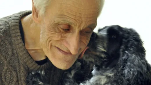 Training du chien-médiateur