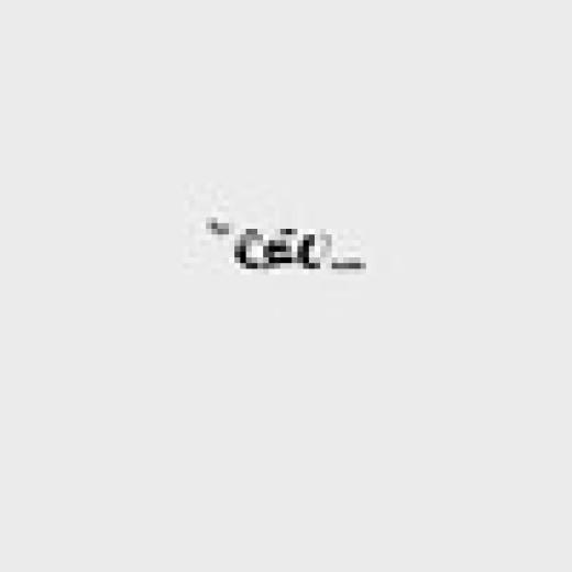 Profile photo of "the CEO inside"