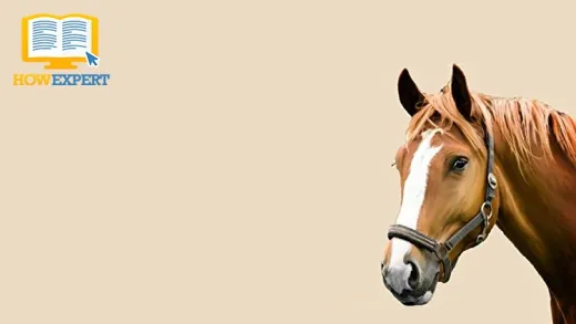 HOWEXPERT VIDEO BOOK - Horse Care 101