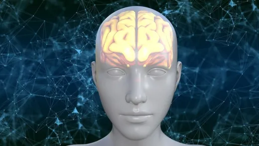 Inteligência Emocional para uma Mente Próspera