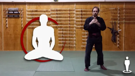 Martial Arts - Jujutsu - Beginner Foundation