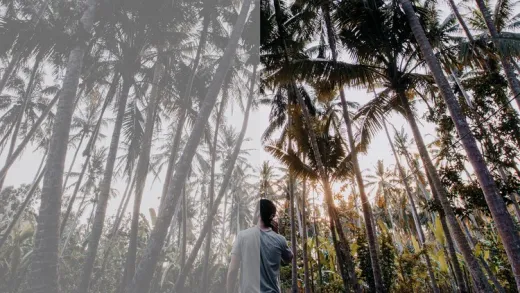 Étalonner vos vidéos avec des LUTs au rendu Cinéma