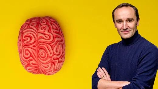 Neuroplasticidade:  Como Reconectar O Seu Cérebro
