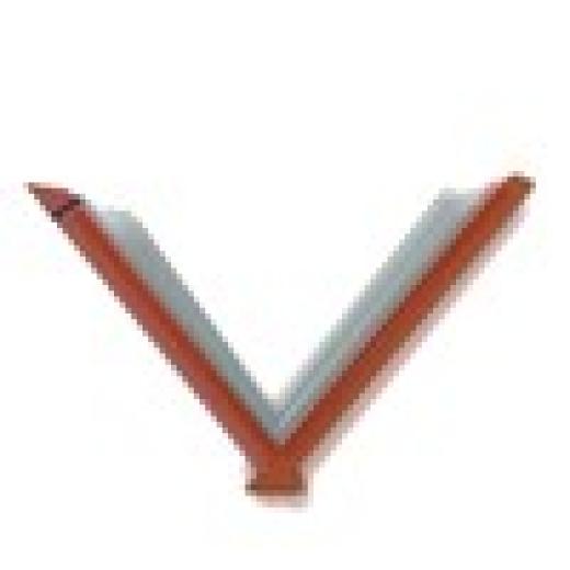 Profile photo of Eduvance (Microchip Certified Trainer, AUP Trainer, CUA Trainer)