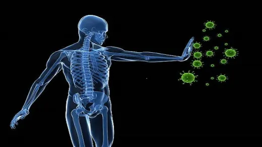 Basics of Medical Immunology