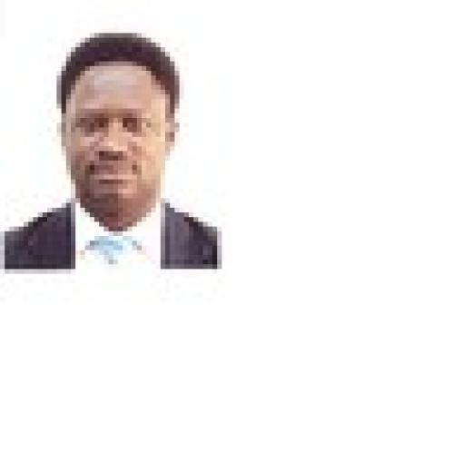 Profile photo of Olalekan David-Banjo