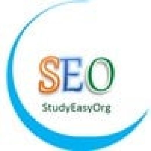 Profile photo of StudyEasy Organization
