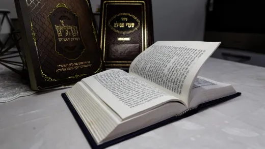 Read & Understand The Hebrew Bible