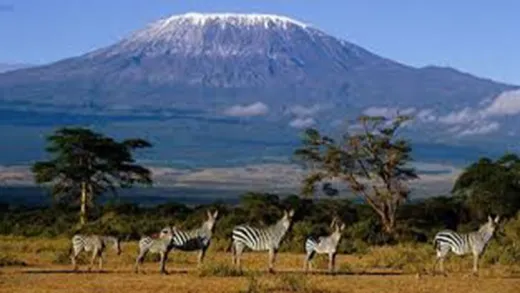 Be Expert in Swahili Language "For Beginners"