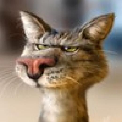 Profile photo of Chris Scalf