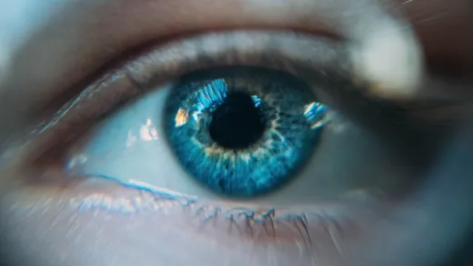Curso de Mindfulness: Atención Plena, Vida Plena