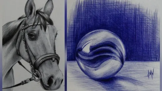 Introduction to Ballpoint Pen Drawing