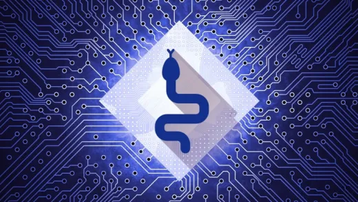 Pythonic Python Part I: The Basics