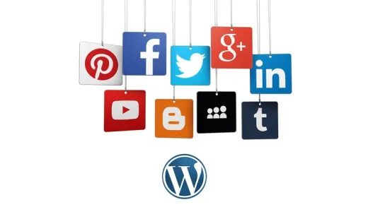 WordPress Social Media Automation