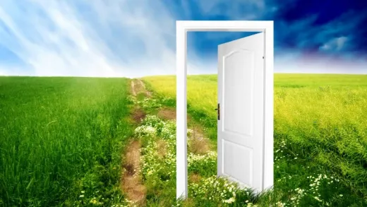 Mold / Mould: How to Improve Indoor Air Quality ?
