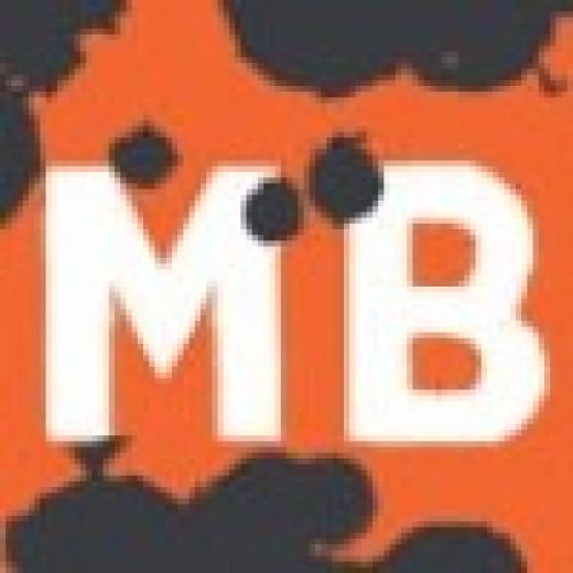 Profile photo of Mold Busters