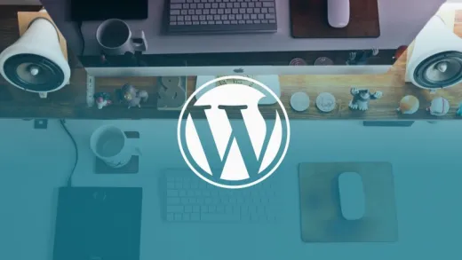 How to Use Custom Fields in Wordpress Theme Development