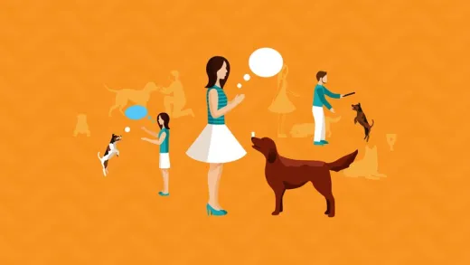 Reliability and Games 2-Day Dog Training Workshop
