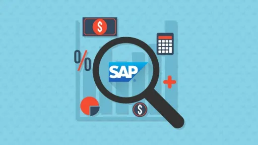 SAP EDI Analyst
