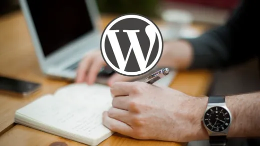 WordPress Experte werden