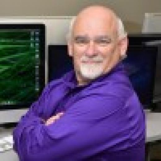 Profile photo of