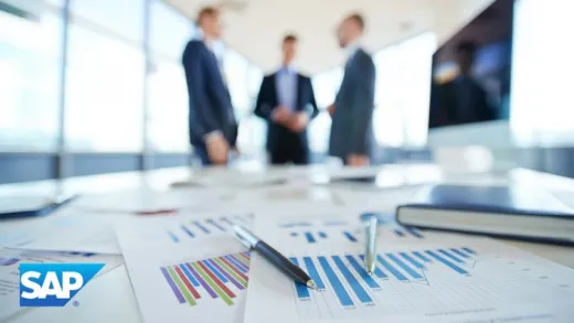 Mastering Crystal Reports 2011 Made Easy Training Tutorial