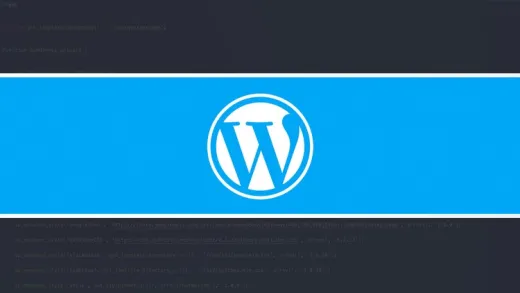 Professional WordPress Theme & Plugin Development
