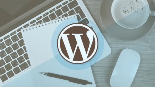 Build The Ultimate Professional Website with WordPress
