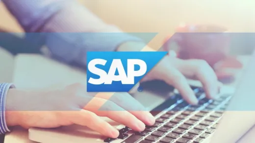 Como ser un Experto en SAP Report Painter 