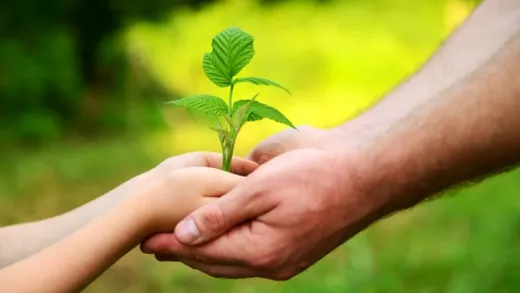 Human Development