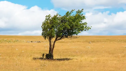 Become a social entrepreneur