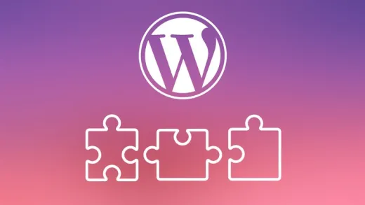 Wordpress Plugins that will transform your Website