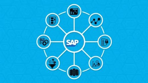 SAP EDI Professional