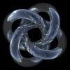 Profile photo of Math Fortress