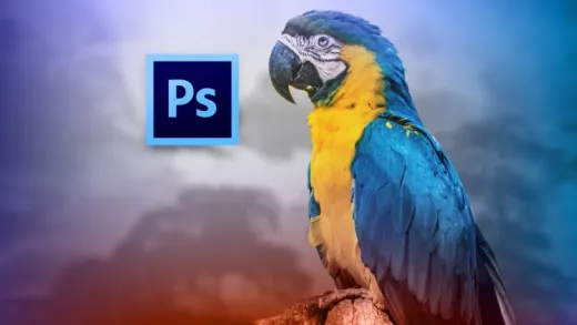 Adobe Photoshop CS6: Los Fundamentos