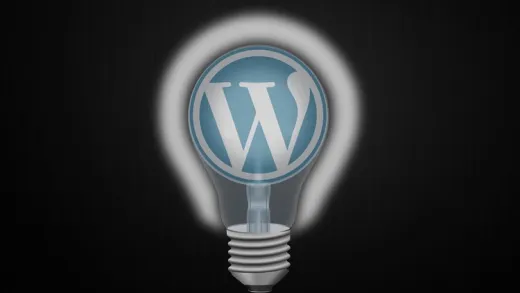 Dein erstes professionelles WordPress Plugin von A-Z