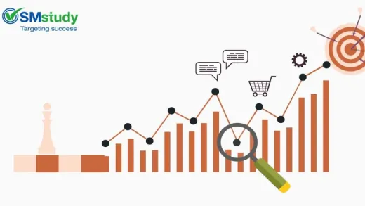 Analyze Market Opportunity