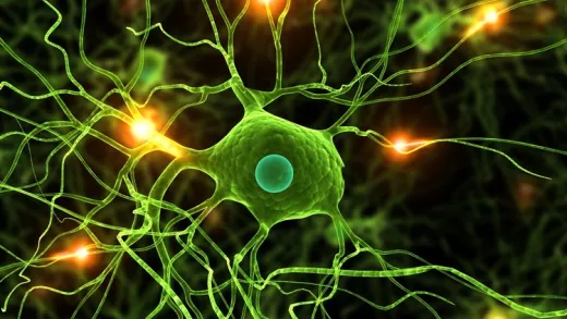 Data Science: Deep Learning and Neural Networks in Python