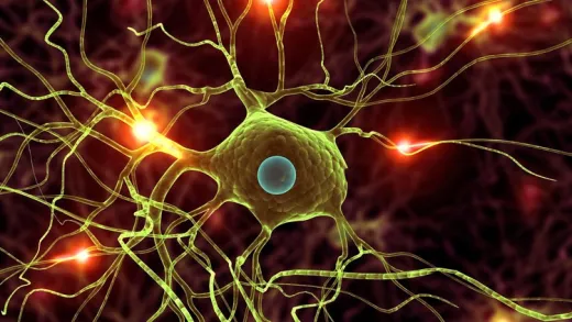 Data Science: Modern Deep Learning in Python
