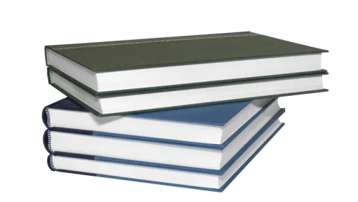 Novel Writing: Get Published!